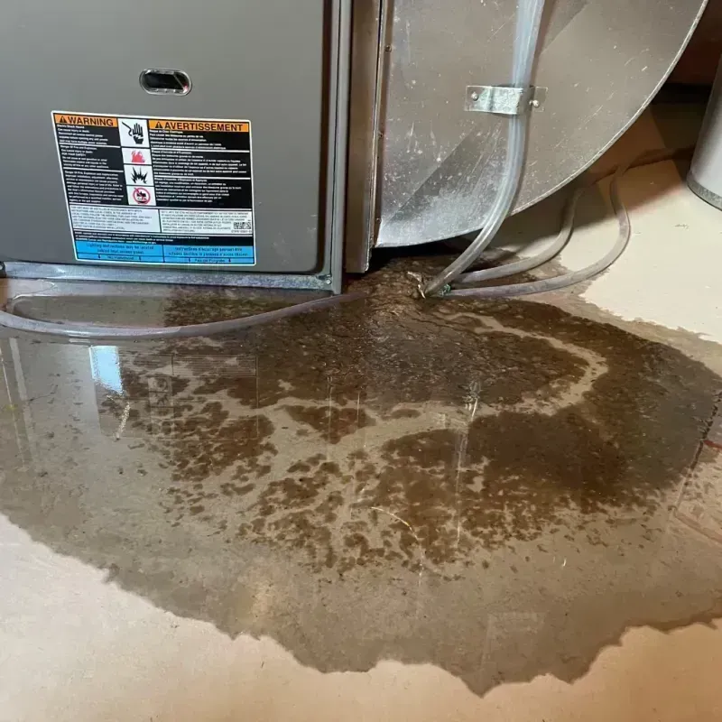 Appliance Leak Cleanup in Taylor County, KY